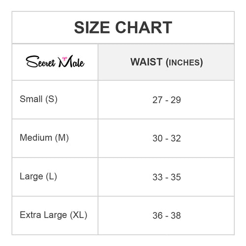 Secret Male SMI044 Bikini Brief